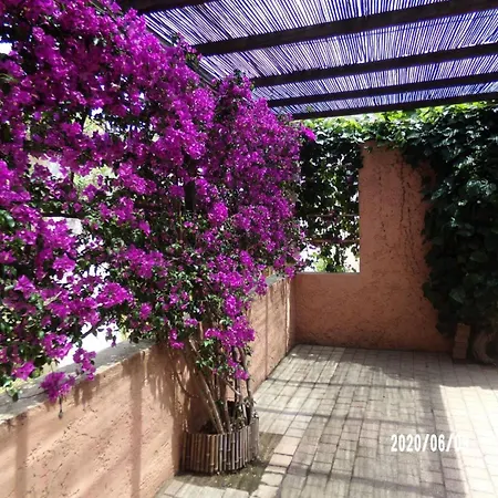 - Petite Maison A 100m De La Mae-4784 Apartman *